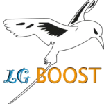 Logo Lg Boost Paille En Queue